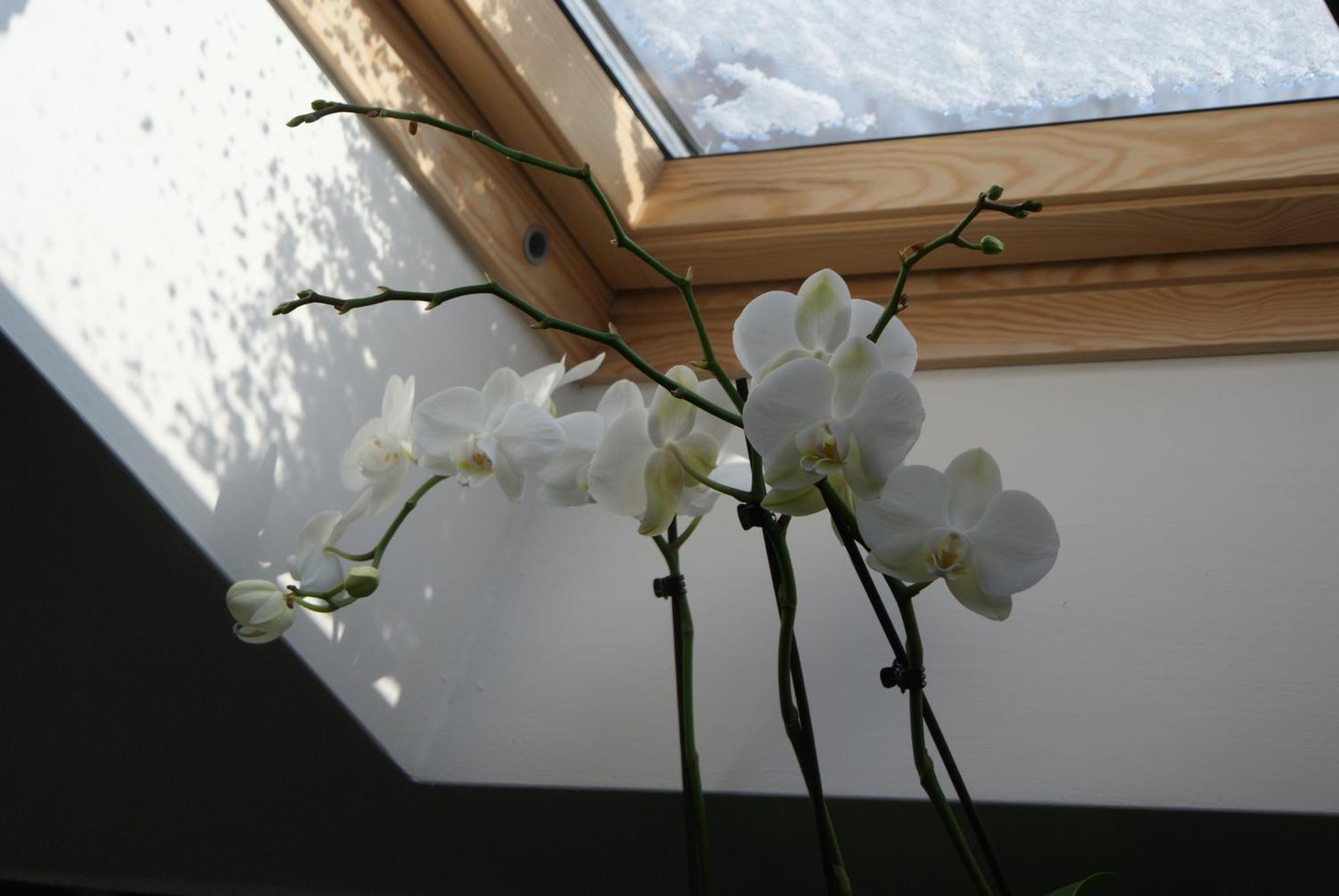 Apartment K74 Jablonné v Podještědí